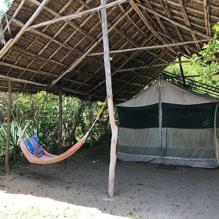 Peponi Beach Resort Pangani Eksteriør billede