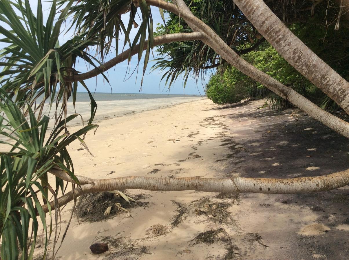 Peponi Beach Resort Pangani Eksteriør billede
