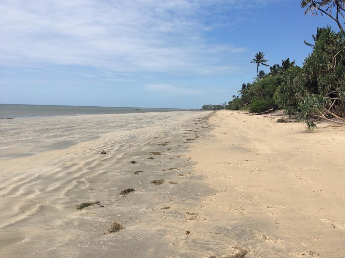 Peponi Beach Resort Pangani Eksteriør billede