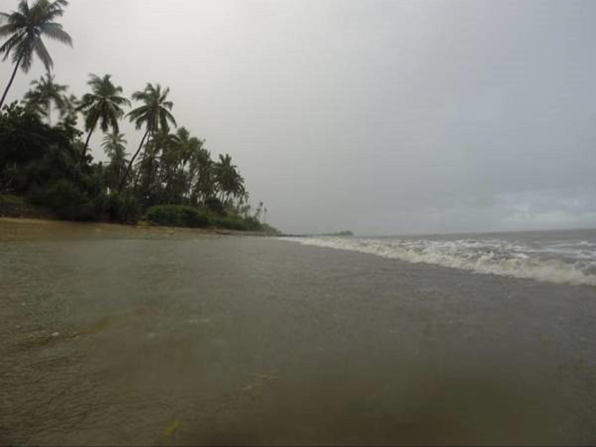 Peponi Beach Resort Pangani Eksteriør billede