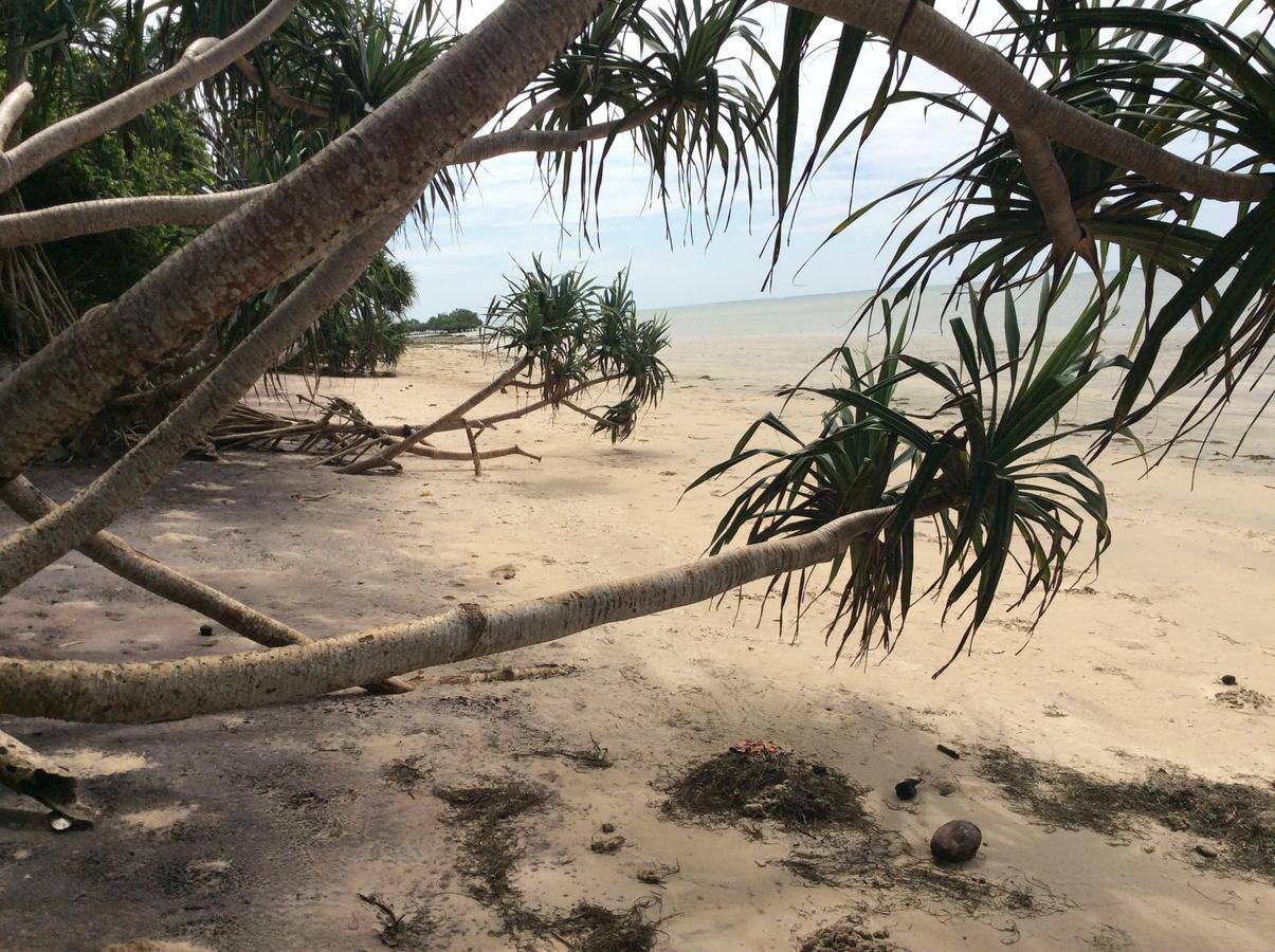 Peponi Beach Resort Pangani Eksteriør billede