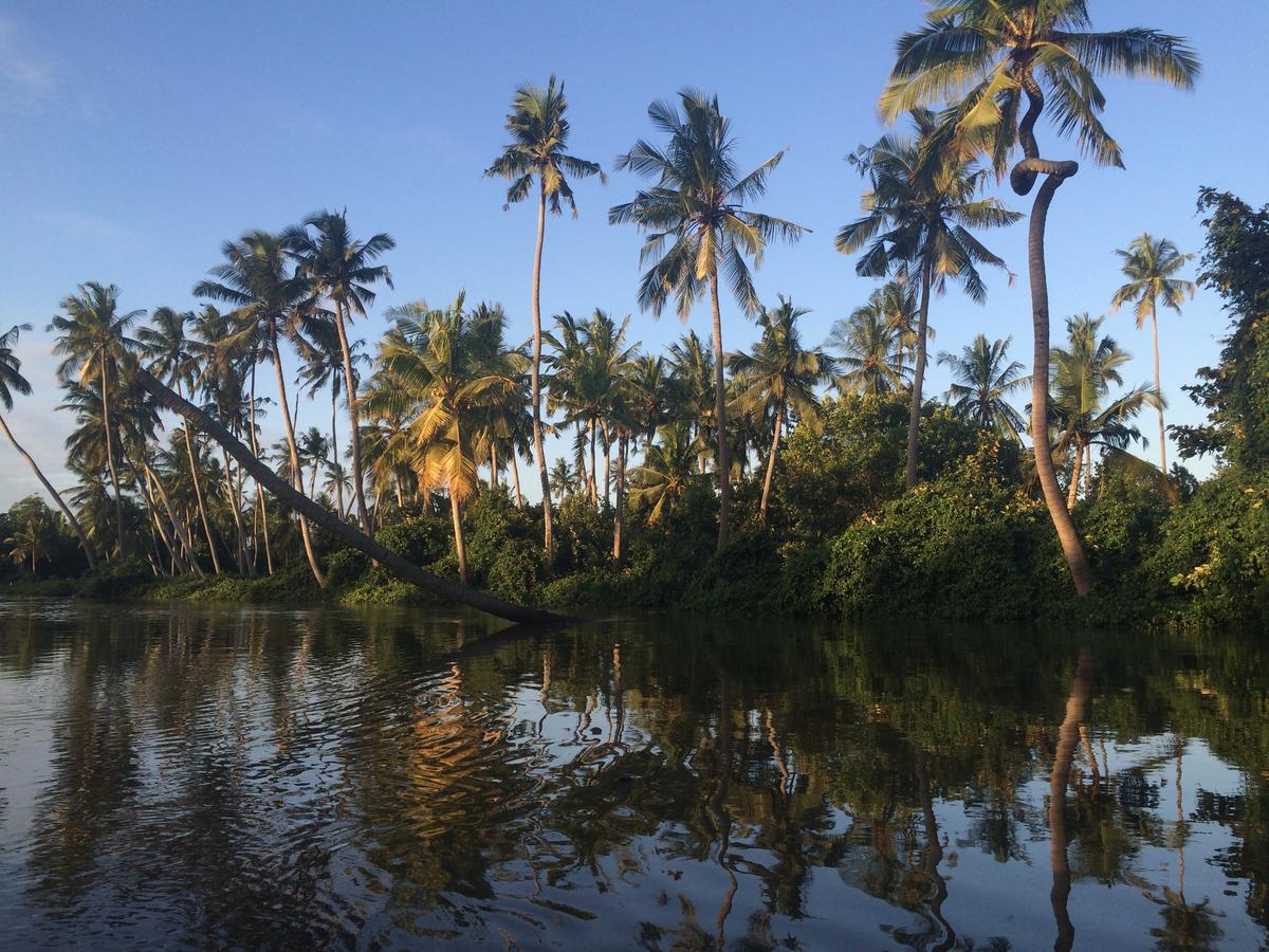 Peponi Beach Resort Pangani Eksteriør billede