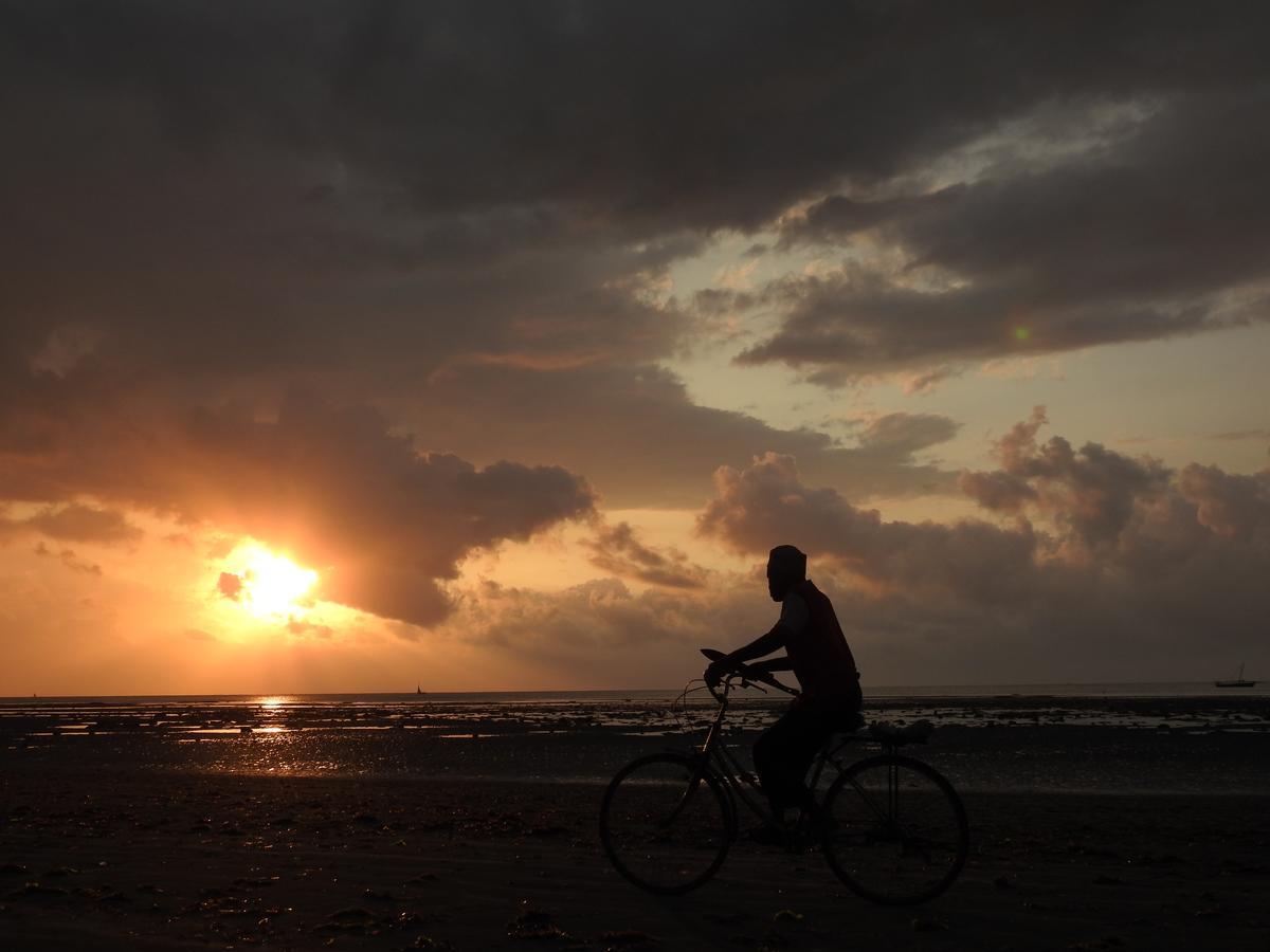 Peponi Beach Resort Pangani Eksteriør billede
