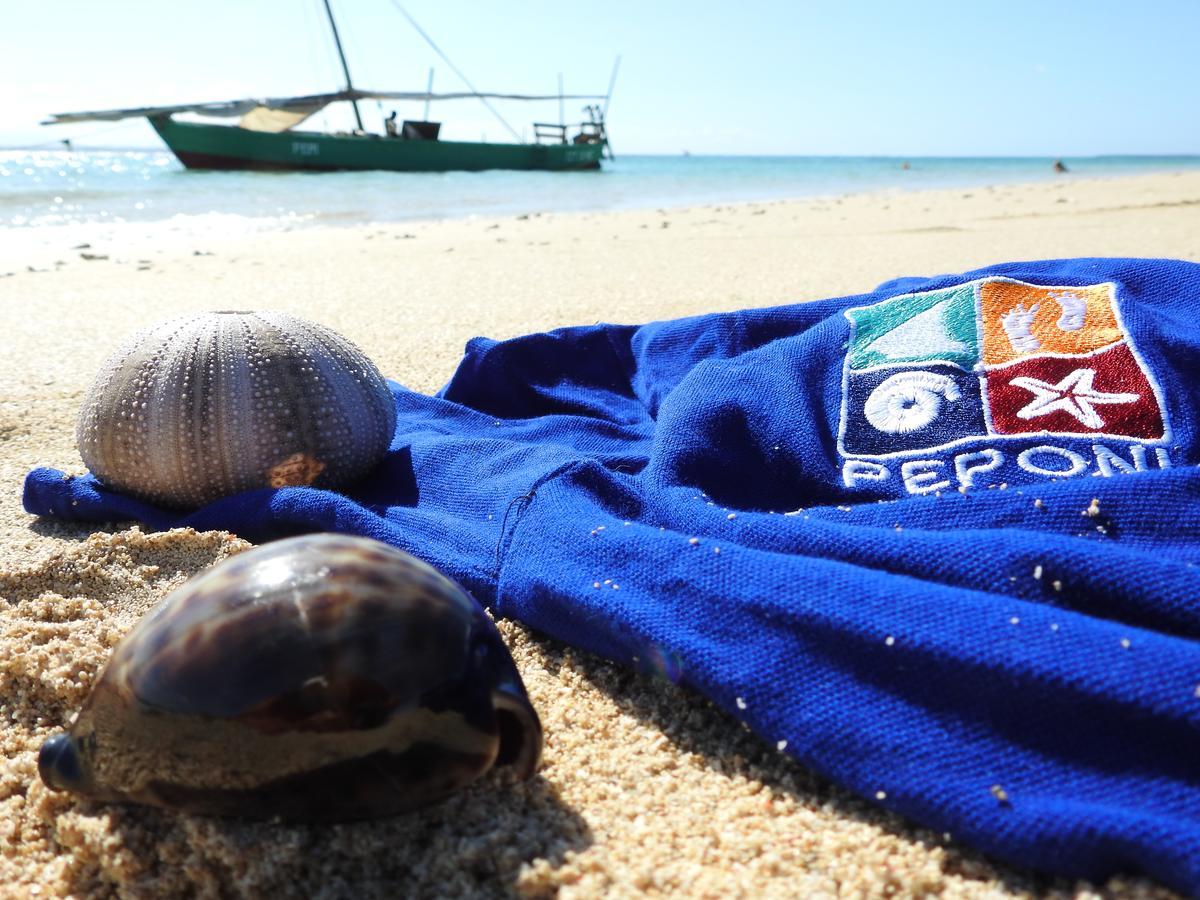 Peponi Beach Resort Pangani Eksteriør billede