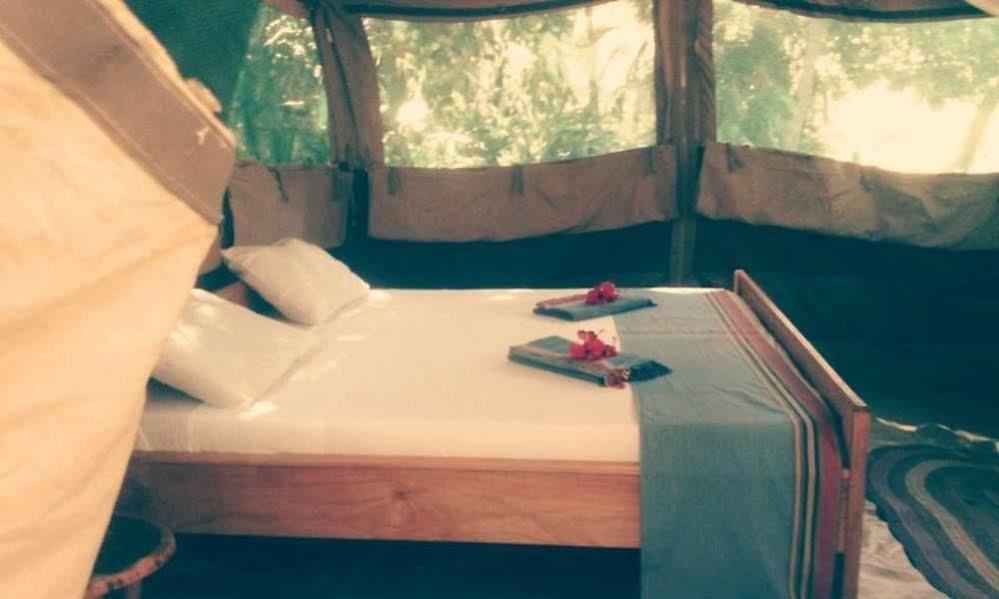 Peponi Beach Resort Pangani Eksteriør billede